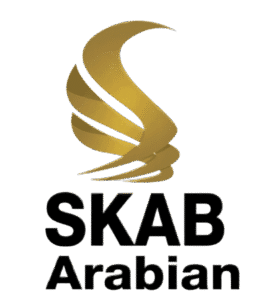 logo SKAB